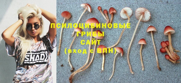 a pvp Алексеевка