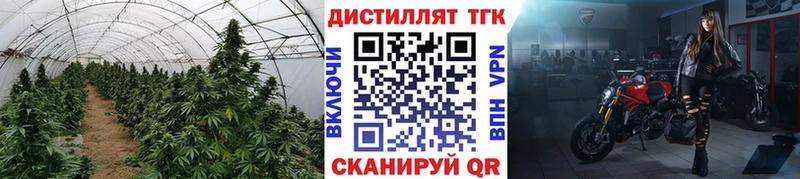 Дистиллят ТГК гашишное масло mega онион Сельцо